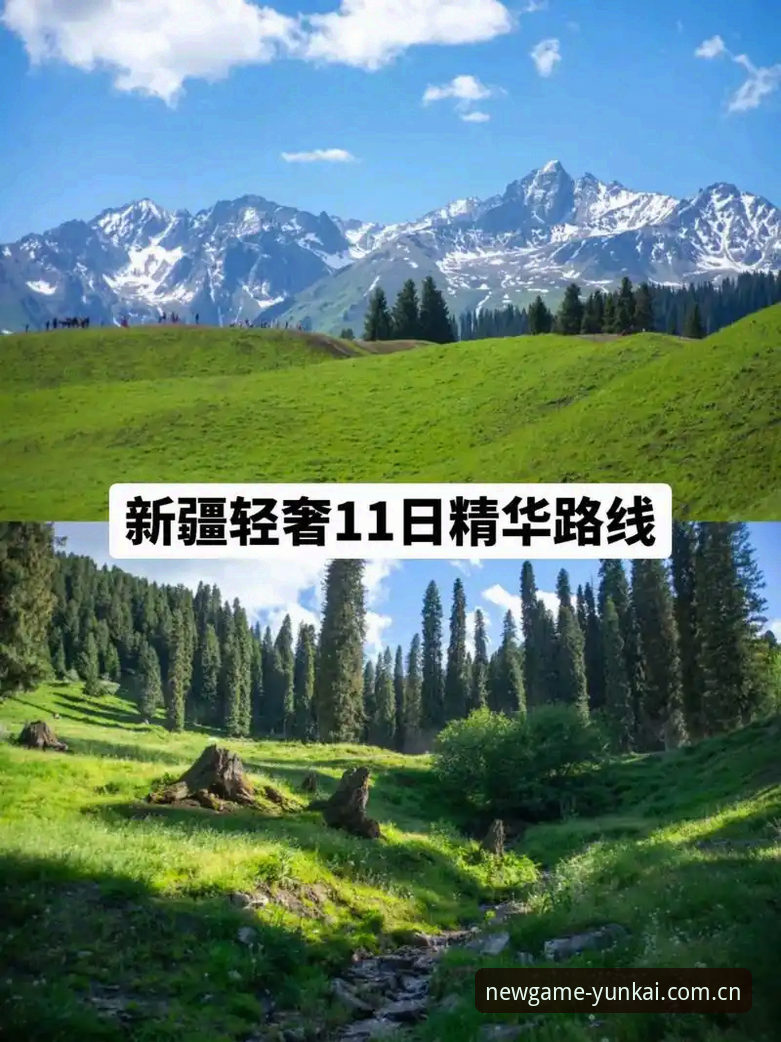 云开体育版本更新 云开体育平台版本更新教程:掌握最新功能与优化技巧